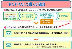kounyu paypal 300x206 - カヌーカヤックニュースマガジンVol5　２０１９総集編