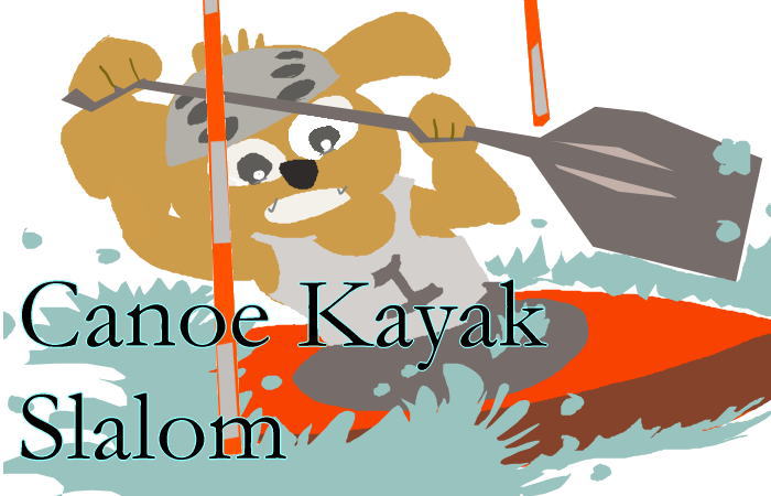 slalom inumimio - 2015  K1W  ICF  Canoe  Slalom最終ランク