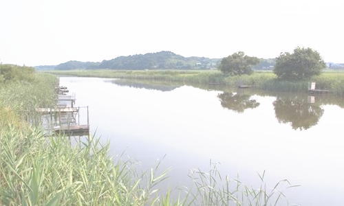 inba01 - 千葉県　印旛沼　カヌー カヤック