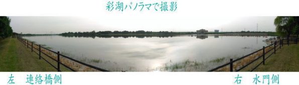 saiko panorama01 595x170 - オリンピック誘致　彩湖シミュレーション