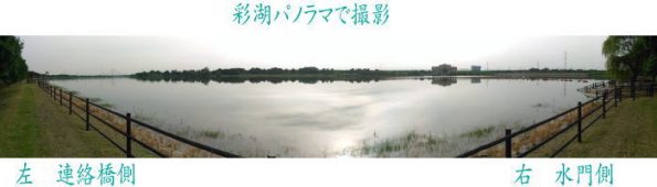 saiko panorama01 595x170 - オリンピック誘致　彩湖シミュレーション