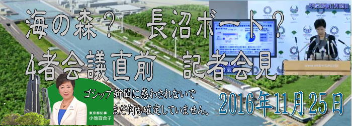 tit 161125 - 海の森競技場か宮城長沼競技場、決定はまだ先H28.11.25