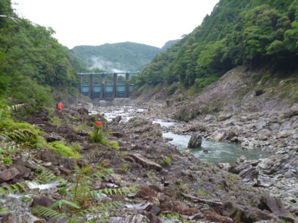 P1030844 595x446 - 第2回じゃばらカップ直前　北山川情報