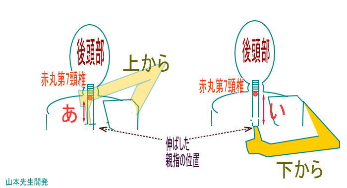 stretch Yamamoto - カヌー・カヤック肩の怪我の予防のために