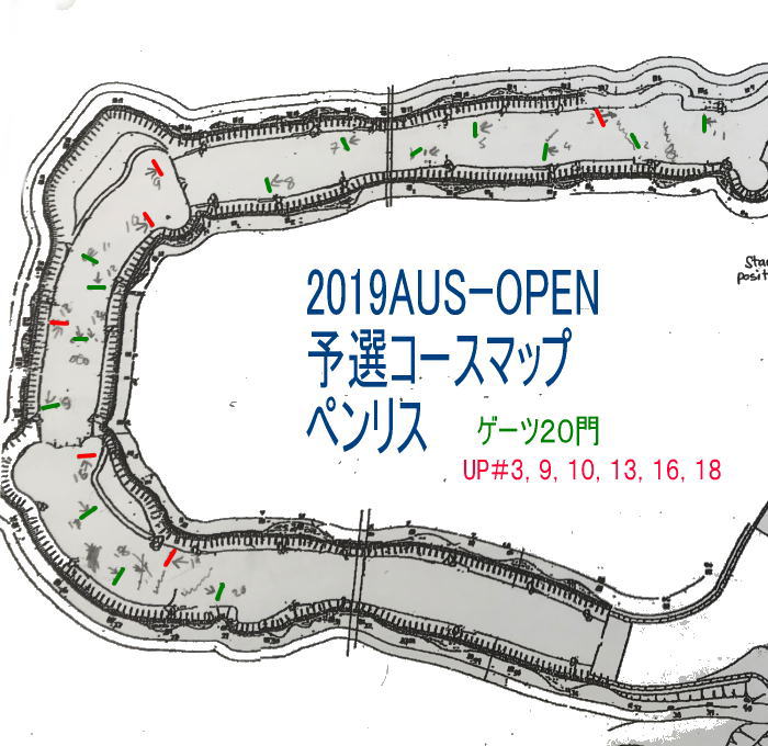 AUS 2019SLM - 2019オーストラリアオープンカヌースラローム日本選手の予選結果