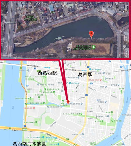 edogawa sinsui plan - 新左近川親水公園カヌー場もうすぐオープン