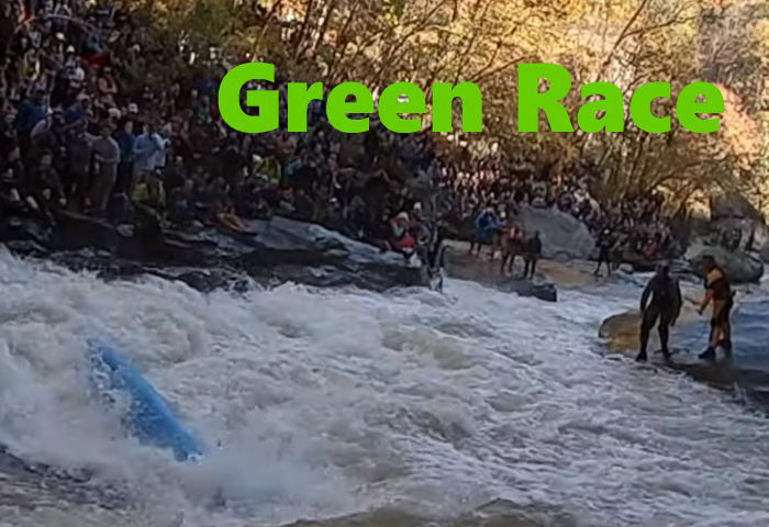 green race tit - グリーンレース2019