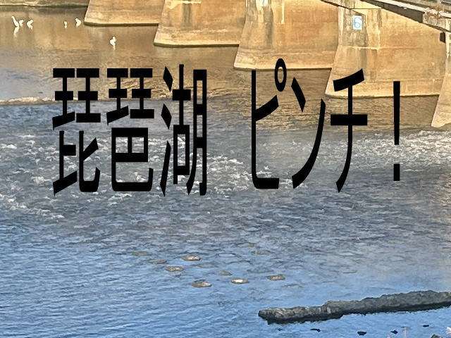 658493b376fcd3d67578a2882a4cbd66 - 琵琶湖の水位が下がり続けている