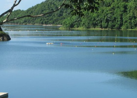 lake cerrillos course - プエルトリコ　セリージョス湖でスプリントレース２０１３